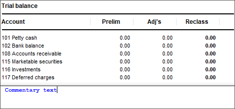 The Commentary pane displayed in the Working Papers interface containing some sample commentary text