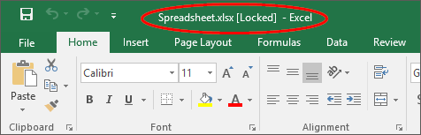 A sample Microsoft Excel document displaying the word Locked in the application's header