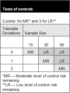 Detailed Audit Response Instructions