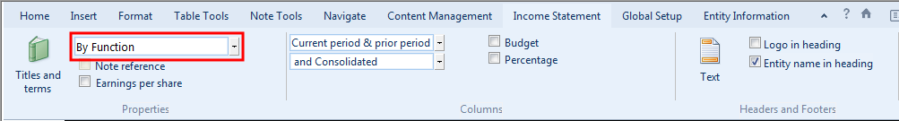 Configuring The Income Statement